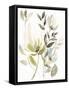 Winter Arrangement II-Jennifer Goldberger-Framed Stretched Canvas