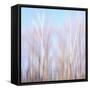 Winter Aubade 2-Jacob Berghoef-Framed Stretched Canvas