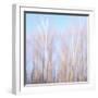 Winter Aubade 2-Jacob Berghoef-Framed Photographic Print