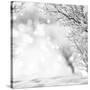 Winter Background-lilkar-Stretched Canvas