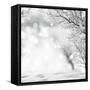 Winter Background-lilkar-Framed Stretched Canvas