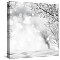 Winter Background-lilkar-Stretched Canvas