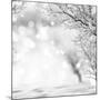 Winter Background-lilkar-Mounted Photographic Print