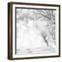 Winter Background-lilkar-Framed Photographic Print