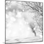 Winter Background-lilkar-Mounted Photographic Print
