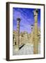 Winter Baths, Thuburbo Majus, Tunisia-Vivienne Sharp-Framed Photographic Print