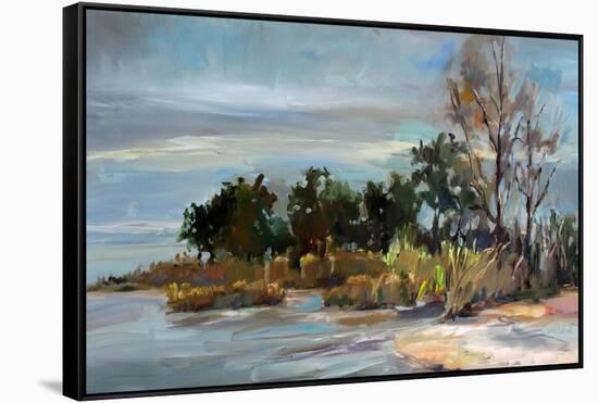 Winter Beach-Carol Hallock-Framed Stretched Canvas