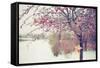 Winter Berries I-Kelly Poynter-Framed Stretched Canvas