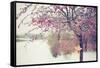 Winter Berries I-Kelly Poynter-Framed Stretched Canvas