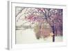 Winter Berries I-Kelly Poynter-Framed Photographic Print