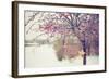 Winter Berries I-Kelly Poynter-Framed Photographic Print