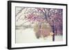 Winter Berries I-Kelly Poynter-Framed Photographic Print