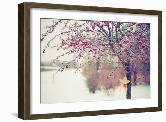 Winter Berries I-Kelly Poynter-Framed Photographic Print