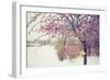 Winter Berries I-Kelly Poynter-Framed Photographic Print