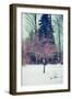 Winter Berries III-Kelly Poynter-Framed Photographic Print