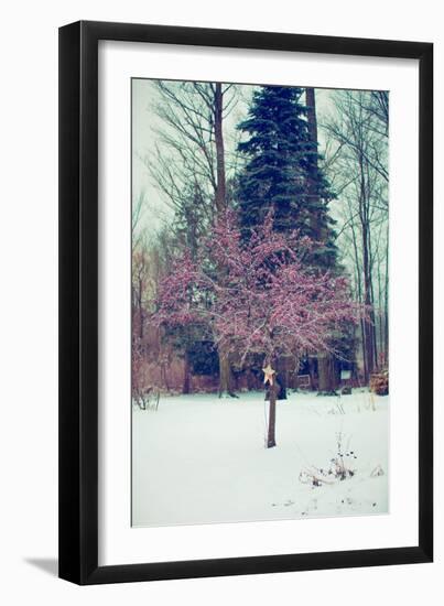 Winter Berries III-Kelly Poynter-Framed Photographic Print