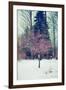 Winter Berries III-Kelly Poynter-Framed Photographic Print