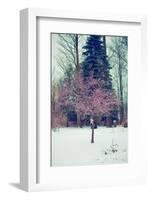 Winter Berries III-Kelly Poynter-Framed Photographic Print