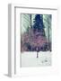 Winter Berries III-Kelly Poynter-Framed Photographic Print