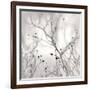 Winter Berries-Nicholas Bell-Framed Photographic Print