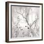 Winter Berries-Nicholas Bell-Framed Photographic Print