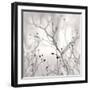 Winter Berries-Nicholas Bell-Framed Photographic Print