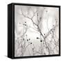 Winter Berries-Nicholas Bell-Framed Stretched Canvas
