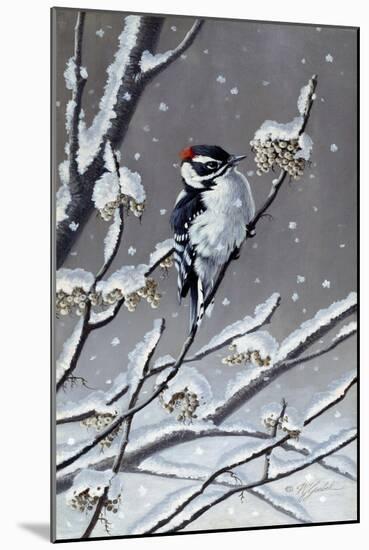 Winter Berries-Wilhelm Goebel-Mounted Giclee Print