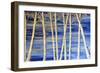 Winter Birch-Sarah Tiffany King-Framed Giclee Print