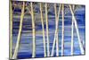 Winter Birch-Sarah Tiffany King-Mounted Giclee Print