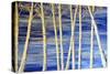 Winter Birch-Sarah Tiffany King-Stretched Canvas