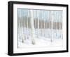 Winter Birch-Wellington Studio-Framed Art Print