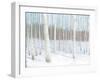 Winter Birch-Wellington Studio-Framed Art Print