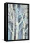 Winter Birches I-Albena Hristova-Framed Stretched Canvas