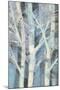 Winter Birches I-Albena Hristova-Mounted Art Print