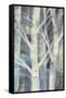 Winter Birches II-Albena Hristova-Framed Stretched Canvas