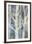 Winter Birches II-Albena Hristova-Framed Art Print