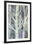 Winter Birches II-Albena Hristova-Framed Art Print