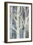 Winter Birches II-Albena Hristova-Framed Art Print