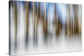 Winter Birches-Ursula Abresch-Stretched Canvas