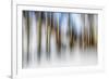 Winter Birches-Ursula Abresch-Framed Photographic Print