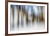 Winter Birches-Ursula Abresch-Framed Photographic Print