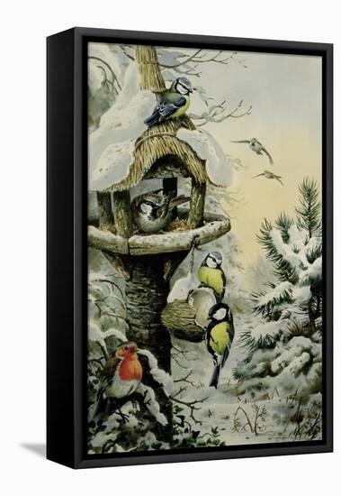 Winter Bird Table with Blue Tits, Great Tits, House Sparrows and a Robin-Carl Donner-Framed Stretched Canvas