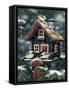 Winter Birdhouse-William Vanderdasson-Framed Stretched Canvas