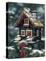 Winter Birdhouse-William Vanderdasson-Stretched Canvas