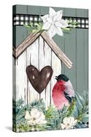 Winter Birdhouse-Kimberly Allen-Stretched Canvas