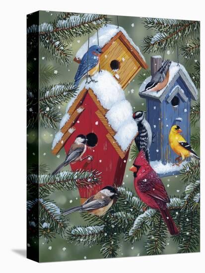 Winter Birdhouses-William Vanderdasson-Stretched Canvas