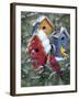 Winter Birdhouses-William Vanderdasson-Framed Giclee Print