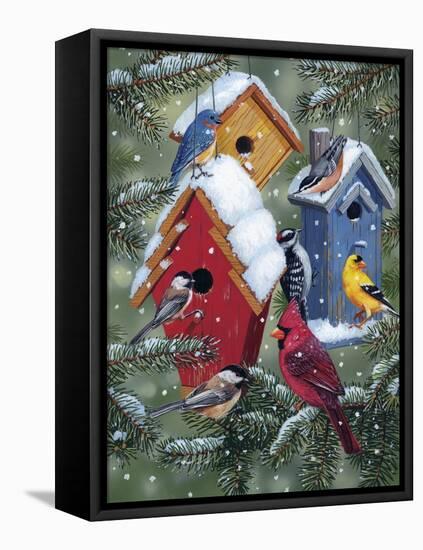 Winter Birdhouses-William Vanderdasson-Framed Stretched Canvas