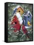 Winter Birdhouses-William Vanderdasson-Framed Stretched Canvas